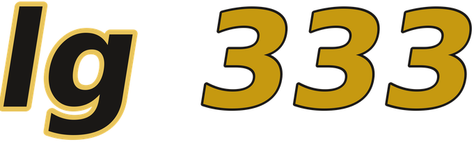 lg 333 logo